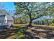 Tranquil backyard scene with a mature tree, offering privacy and natural beauty at 4333 Cloudmont Dr, Hollywood, SC 29449