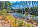 Scenic pond surrounded by lush vegetation and a tranquil forest setting at 4333 Cloudmont Dr, Hollywood, SC 29449