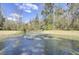 Scenic pond view with fountain surrounded by lush greenery and natural landscape at 4610 Palm View Cir, North Charleston, SC 29418