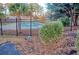 Fenced in backyard pool with palm tree and manicured lawn provides privacy at 6211 Rolling Fork Rd. # 1504 Apt D, North Charleston, SC 29406