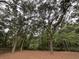 The backyard offers a view of mature trees and a serene, natural setting at 827 Duck Hawk Retreat, Charleston, SC 29412