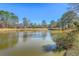 Scenic pond view surrounded by mature trees and landscaping in a tranquil residential community at 8757 E Fairway Woods Dr, North Charleston, SC 29420