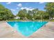 Large community pool surrounded by lush greenery and featuring plenty of seating under a sunny sky at 110 Dunbury Dr, Summerville, SC 29485
