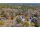 Aerial shot showcases a beautiful property nestled amongst lush greenery and mature trees at 121 Arrowridge Ct, Summerville, SC 29485