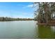 A view of the lake, surrounded by nature and trees at 1368 Clay Field Trl, Summerville, SC 29485