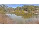 Scenic view of the pond surrounded by trees and marsh grasses from the property at 185 Wappoo Rd, Charleston, SC 29407
