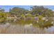 Scenic view of property featuring a serene pond with tall marsh grasses at 185 Wappoo Rd, Charleston, SC 29407