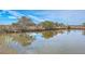 Picturesque view of the tranquil pond with a wooden deck, enveloped by greenery and clear blue skies at 185 Wappoo Rd, Charleston, SC 29407