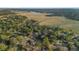 An aerial view reveals the home surrounded by mature trees, rivers, and neighborhood at 257 Druid Rd, Charleston, SC 29407