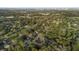 Aerial view showcasing lush green trees, neighborhood, and city beyond at 257 Druid Rd, Charleston, SC 29407