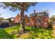 A mature shade tree graces the backyard, enhancing the outdoor living space and brick house's appeal at 285 Grove St, Charleston, SC 29403