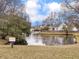 Scenic pond view with houses and a fountain in the background at 366 Clayton Dr, Charleston, SC 29414