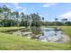 Picturesque pond surrounded by lush greenery and trees, creating a serene and natural landscape at 3864 Summerton St, Mount Pleasant, SC 29466