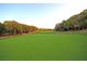 Lush green golf course fairway lined with mature trees, offering a serene and picturesque setting for golfers at 45 Ocean Point Dr, Isle of Palms, SC 29451