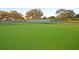 Well-maintained putting green on a sunny day, perfect for honing your golf skills in a tranquil environment at 45 Ocean Point Dr, Isle of Palms, SC 29451