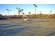 Well-maintained tennis courts with nets, lighting, and surrounding landscaping for active recreation at 45 Ocean Point Dr, Isle of Palms, SC 29451