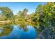 Beautiful tranquil lake surrounded by lush trees and vegetation at 5541 Green Dolphin Way, Kiawah Island, SC 29455