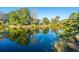 Stunning community homes reflected in the serene lake, surrounded by mature trees and landscaping at 5541 Green Dolphin Way, Kiawah Island, SC 29455