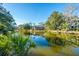 Idyllic lakeside community featuring homes with charming architecture and lush landscaping at 5541 Green Dolphin Way, Kiawah Island, SC 29455
