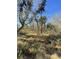 Photo of the property featuring trees, natural growth and vegetation at 00 N Highway 17, McClellanville, SC 29458