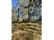 View of the wooded area of the property at 00 N Highway 17, McClellanville, SC 29458