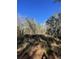 Lush wooded area featuring a mix of mature trees and natural undergrowth on a sunny day at 00 N Highway 17, McClellanville, SC 29458