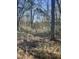 View of trees and underbrush in a wooded area featuring scattered light and natural beauty at 00 N Highway 17, McClellanville, SC 29458