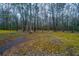 Spacious, wooded backyard with vibrant moss, and scattered leaves creating a serene environment at 112 Ravenswood Ct, Summerville, SC 29485