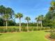 Beautiful landscaping and palm trees by the pond create a peaceful setting in this community at 1399 Tollison Path, Mount Pleasant, SC 29466