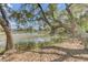 Backyard view of a peaceful pond, framed by mature trees and natural vegetation at 1540 Strathmore Ln, Mount Pleasant, SC 29464