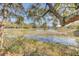 Picturesque backyard view of a serene pond surrounded by trees, offering a tranquil escape at 1540 Strathmore Ln, Mount Pleasant, SC 29464