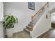 Carpeted staircase with white railing and wooden banister, accented by a decorative houseplant at 200 Short Woods Ct, Summerville, SC 29486