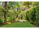 Lush backyard featuring manicured lawn, bamboo, and tropical palm trees offering a private outdoor retreat at 21 Limehouse St, Charleston, SC 29401