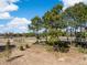 Picturesque lot showcasing mature trees, lush greenery, and a winding pathway at 3019 Eventide Dr, Johns Island, SC 29455