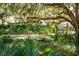 Scenic garden path with mature trees, lush greenery, and a tranquil bench for serene enjoyment at 3019 Eventide Dr, Johns Island, SC 29455