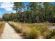 Scenic walking trail lined with lush vegetation and trees, perfect for outdoor adventures at 3019 Eventide Dr, Johns Island, SC 29455
