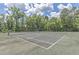 Community tennis courts surrounded by lush greenery, offering a perfect recreational space at 303 Crossandra Ave, Summerville, SC 29483
