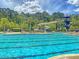 Large community swimming pool with a waterslide, tower, and comfortable lounge chairs at 3232 Pignatelli Cres, Mount Pleasant, SC 29466