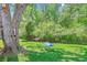 Green backyard with a rope swing hanging from a large tree in a lush outdoor setting at 380 Furman Ln, Ladson, SC 29456