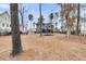 Spacious backyard with lush landscaping, a trampoline, and mature trees at 3851 Sawyers Island Dr, Mount Pleasant, SC 29466