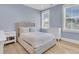 This bedroom features stylish furnishings, light blue walls, and two windows at 3851 Sawyers Island Dr, Mount Pleasant, SC 29466