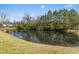 Picturesque pond reflects the surrounding trees, creating a serene and natural backdrop at 644 Stoneboro Ct, Charleston, SC 29412