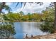Lovely lake view with trees and geese in foreground, house across the water at 12 Broughton Rd, Charleston, SC 29407