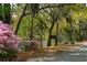 Beautiful park view featuring pink azaleas, a sign, and picturesque trees at 12 Broughton Rd, Charleston, SC 29407