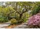 Charming street view with mature trees, pink azaleas, and a vintage street lamp at 12 Broughton Rd, Charleston, SC 29407