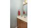 Cozy bathroom featuring a wood vanity with a sink, mirror, and an orange towel hanging on the wall at 1441 Thayer Pl, Mount Pleasant, SC 29466