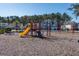 Vibrant community playground with colorful equipment, providing a fun and safe play area for children at 1473 Coopers Hawk Dr, Hanahan, SC 29410