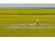 Breathtaking marsh view with a boat on the water and the ocean in the distance at 1614 Live Oak Park, Seabrook Island, SC 29455