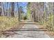 Gravel driveway extending through a wooded area to the property at 162 Wal Flo Ln, Moncks Corner, SC 29461