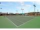 Well-maintained tennis courts with professional lighting and views of surrounding homes at 2012 Barn Swallow Rd, Summerville, SC 29483
